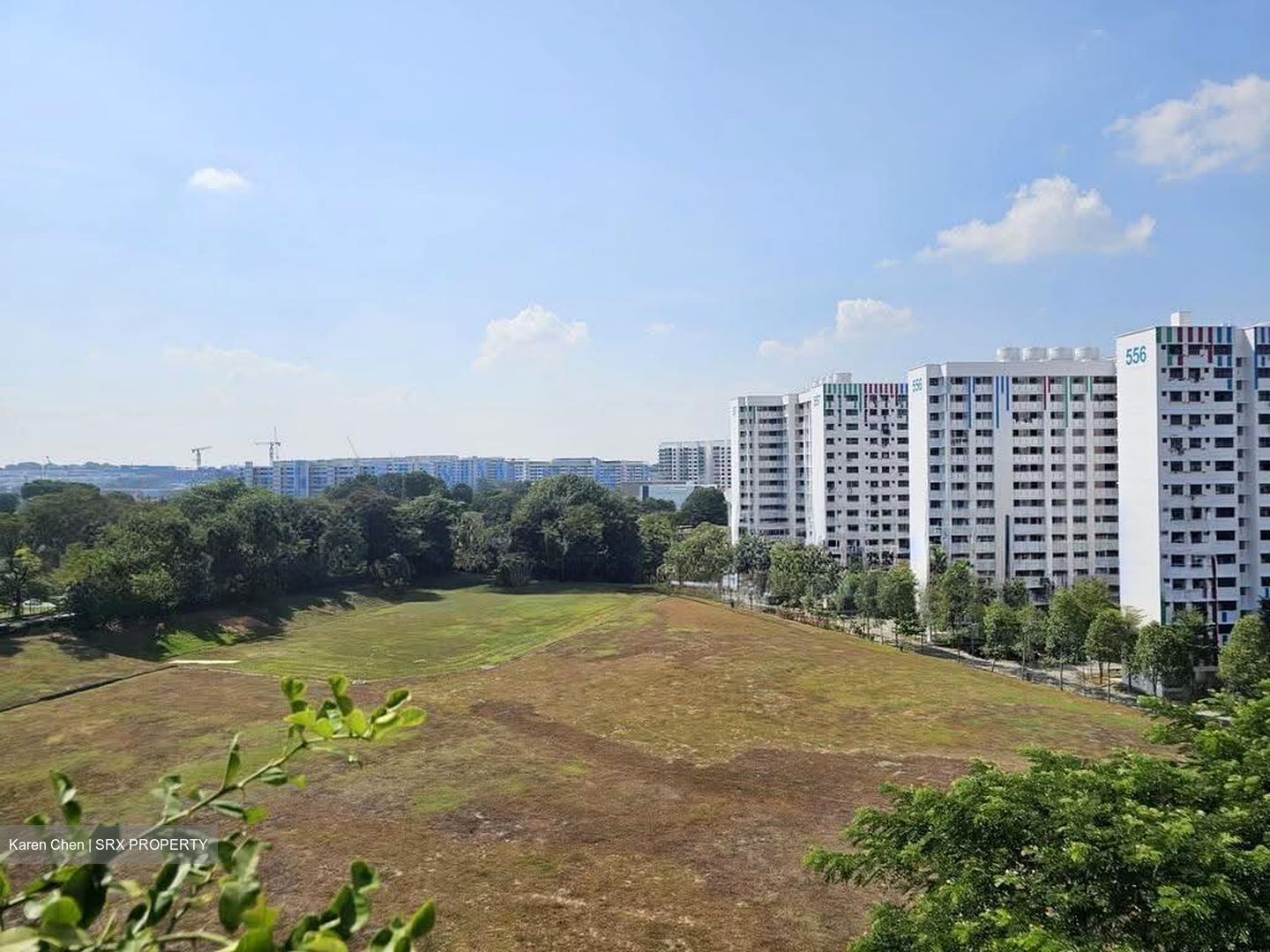 Blk 540 Bedok North Green (Bedok), HDB 3 Rooms #606026301